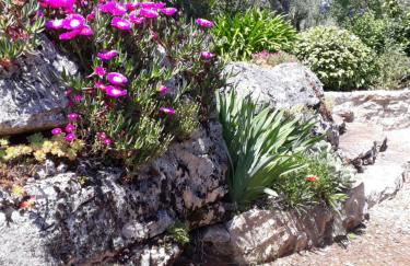 Casa de Amigos - Foto 47