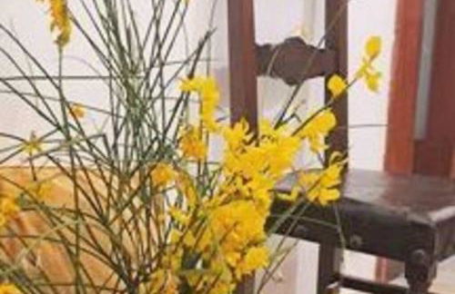 [C'Era una Volta] Velino Sirente National Park - Foto 8