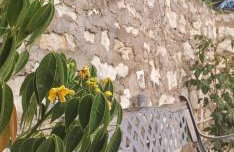 Alegria apartments - Photo 24