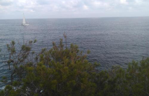 Apartament Cala llobeta, primera línia de mar - Foto 16