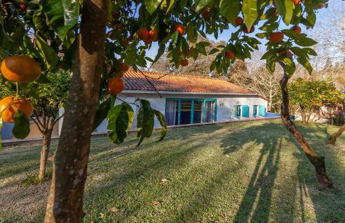 Vale da Silva Villas - Homes - Foto 44