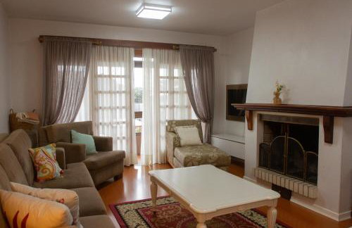 Apartamento Central - Foto 1