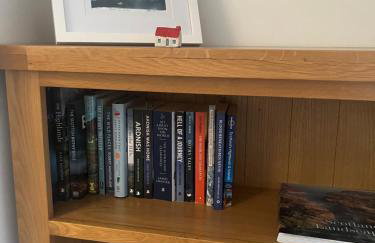 View of the Mountain - Foto 20