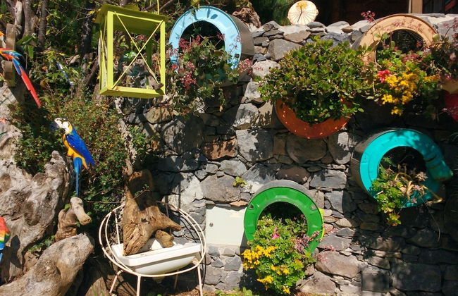 Casas Maravilha - Rvore by Homie - Foto 20