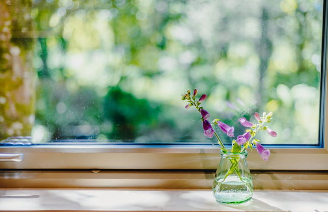 Trecombe Lakes - Foto 6