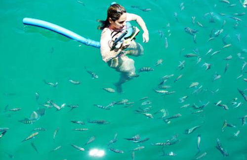 Recanto Mirim - Foto 42