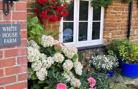 White House Farm Cottages - Photo 32