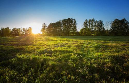 Gutshof Dragefeld - Foto 32