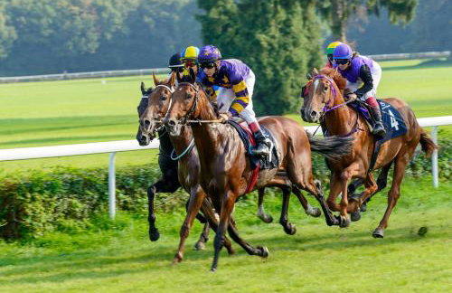 Montrose House - Photo 14