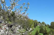 Gemütliches Apartment am Gottesberg - Foto 23