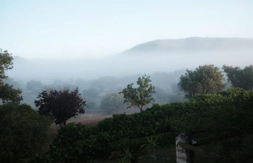 Finca Hotel Ses Cases Noves - Foto 142