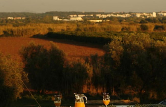 Quinta do Mel - Foto 39