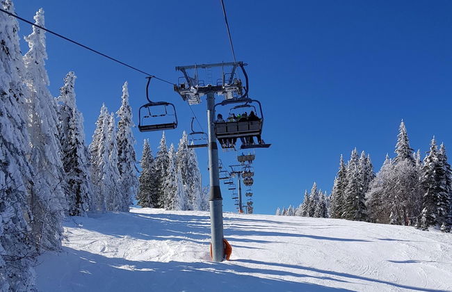 Chalet Podgorje With Pool - Foto 22