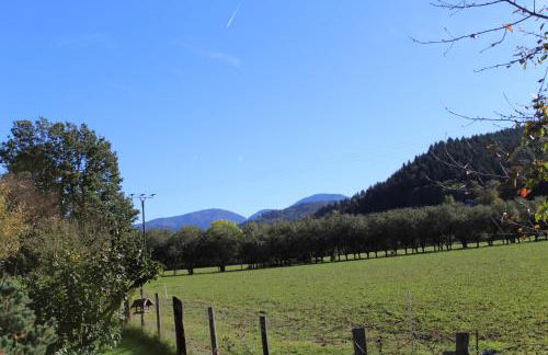 Ferienwohnung Im Weingewölbe - Foto 12