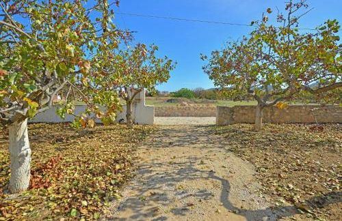 Tzitzi Pistachio Villa - Foto 41