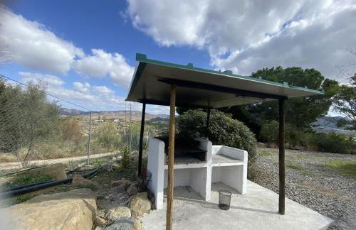 LAS PALMERAS - Foto 49