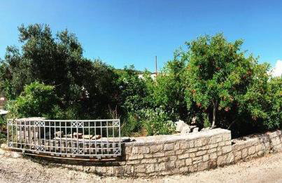 Faros oasis - Foto 50