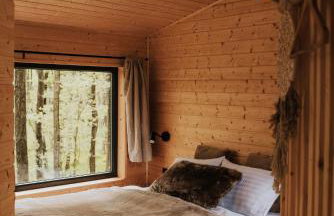 Dziki Las - domki na drzewach - Foto 51