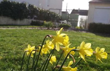 Gîte du jardin de Charlotte - Ancenis St Géréon - Foto 24