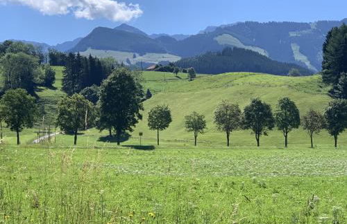 Anisers Hüs - Foto 11