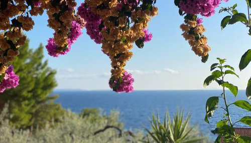 Casa Fortuna - Foto 3