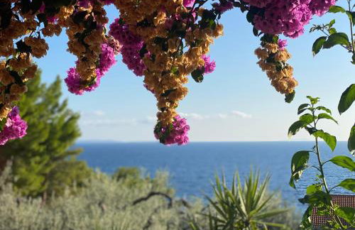 Casa Fortuna - Photo 3