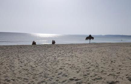 Villa Biniritta - Foto 53