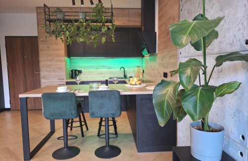 Apartament LOFT - Foto 6