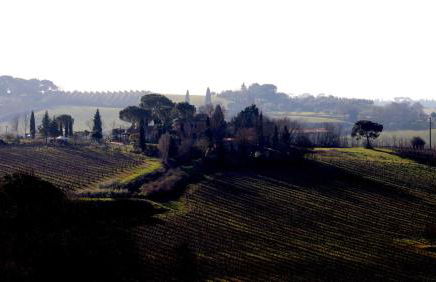 Agriturismo La Terra - Foto 35