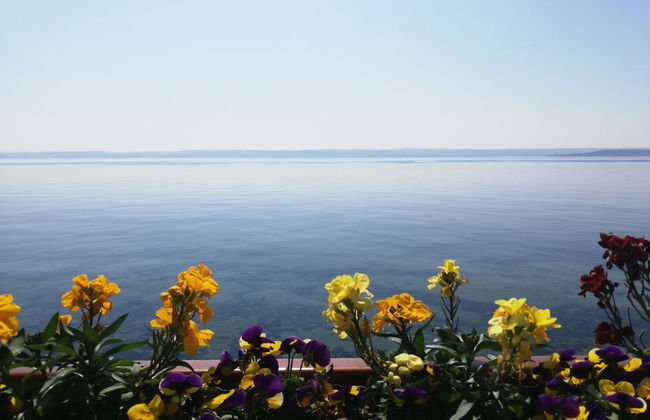 Alte Molke - Foto 38