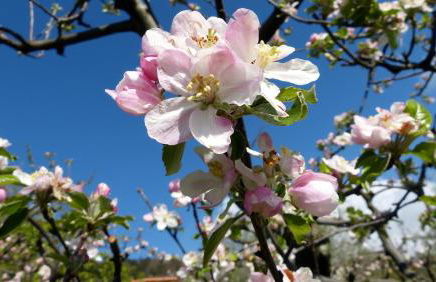 Casa vacanze Ester - Foto 60