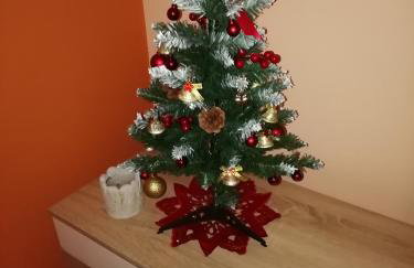 Studio apartment Meli - Foto 23