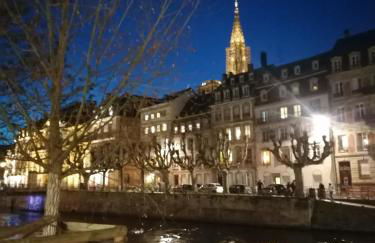 Entre 2 Rives Strasbourg-Kehl - Foto 19