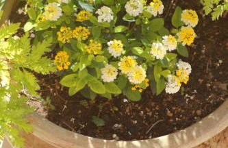 Residence e B&B La Cappella Del Convento - Foto 11