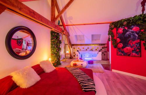 Suite Romantique 45m2-Amiens Centre-SPA & Parking - Foto 2