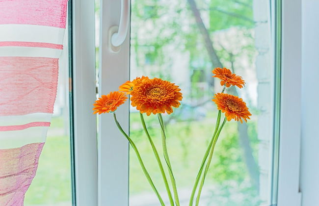 FlatHome24 on Yaroslavskiy 38 - Foto 24