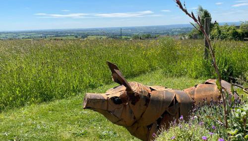 The Pigsty - Photo 2