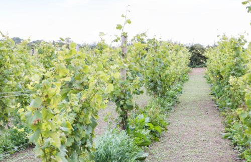 Bowler Yard Cottage - Foto 13