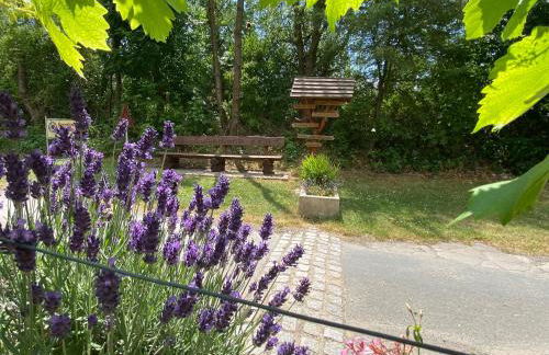Ferienhaus Am Lutherweg - Foto 32