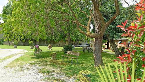 Villa Olanda - Foto 5, Garden view