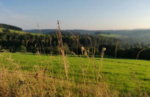 Ferienhaus Schulte - Villa Jupp und Apartment Liesl - Foto 39
