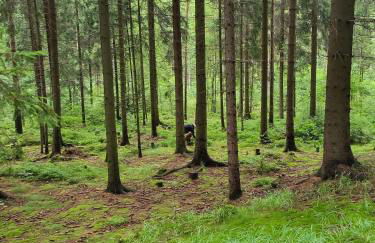 Ferienhaus Winfried - Foto 42