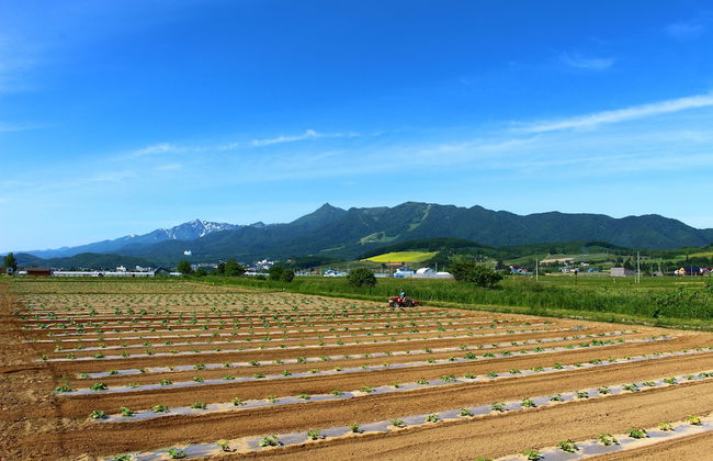 Furano Denen Cottage Nupuri - Foto 23