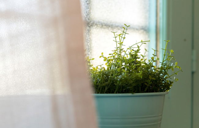 Il Raggio di Sole - Photo 27