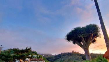 La Escuelita - Foto 5