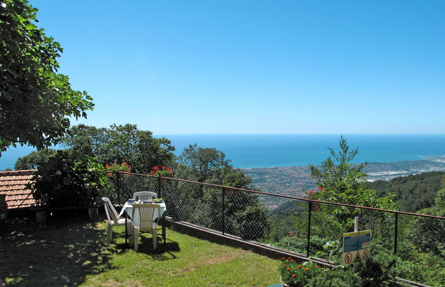 Le Ortensie - Foto 16