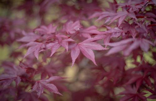 Rural Médulas Viviendas de uso turistico 2 y Casas rurales 2 - Foto 12