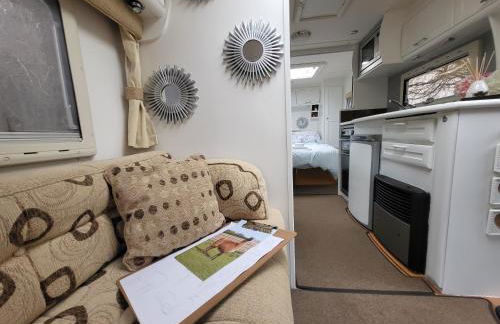 Glamping With Llamas - Foto 24