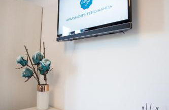 Apartmani Ferdinanda - Foto 31