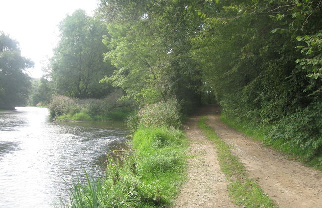 A Beautiful Belle Epoque Villa in the Heart of Hamoir - Foto 32